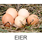 Eier