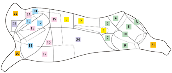 Rindfleischteile